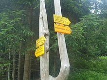 Lesn� z�ti�� - Kl�dov� cesta - Krakono�ova sn�dan� - Terex - Harrachov