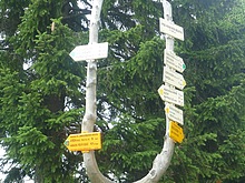 Lesn� z�ti�� - Kl�dov� cesta - Krakono�ova sn�dan� - Terex - Harrachov