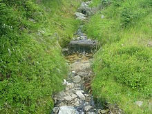 Lesn� z�ti�� - Kl�dov� cesta - Krakono�ova sn�dan� - Terex - Harrachov