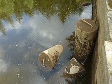 Okolo �ern�ho rybn�ka