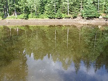 Okolo �ern�ho rybn�ka