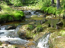 Okolo �ern�ho rybn�ka