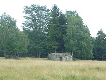 P�es Jizerku na Orle