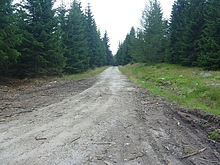 P�es Jizerku na Orle