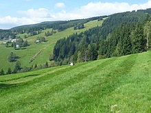 Harrachov - Sk�celka - Rokytnice - Studenov - Harrachov