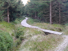 Par�dn� proj��ka Polskem